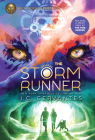 The Storm Runner By J.C. Cervantes Cover Image