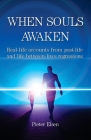 When Souls Awaken; Real-life accounts of past-life and life-between-lives regressions By Pieter J. Elsen Cover Image