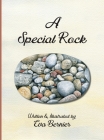 A Special Rock Cover Image