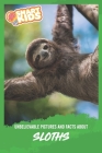 Unbelievable Pictures and Facts About Sloths Cover Image