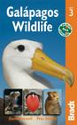 Galapagos Wildlife (Bradt Travel Guide Galapagos Wildlife) By David Horwell, Pete Oxford Cover Image