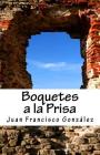 Boquetes a la Prisa: Poemas Terrenales By Juan Francisco L. Gonzalez Cover Image