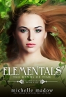 Elementals 5: The Hands of Time By Michelle Madow Cover Image