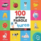 Le prime 100 parole in turco: Libro illustrato bilingue per bambini: italiano / turco con pronuncia Cover Image