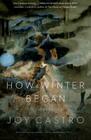 How Winter Began: Stories (Flyover Fiction) By Joy Castro Cover Image