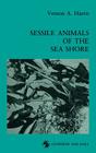 Sessile Animals of the Sea Shore Cover Image