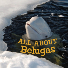 All about Belugas: English Edition By Jordan Hoffman Cover Image