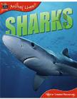 Animal Lives: Sharks (Qeb Animal Lives) By Teacher Created Resources Cover Image