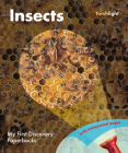 Insects (My First Discovery Paperbacks) By Sabine Krawczyk (Illustrator) Cover Image