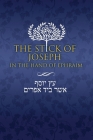 The Stick of Joseph in the Hand of Ephraim Cover Image