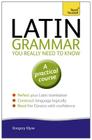 Latin Grammar You Really Need to Know By Gregory Klyve Cover Image