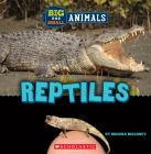 Big and Small: Reptiles (Wild World) By Brenna Maloney Cover Image