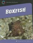 Boxfish (21st Century Skills Library: Exploring Our Oceans) By Samantha Bell Cover Image