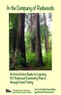 In the Company of Redwoods: An InterActive Guide to Learning 50 Redwood Community Plants through Hand Tinting By David Bruce Casterson Cover Image