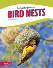 Bird Nests By Stacy Tornio Cover Image