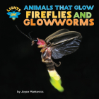 Fireflies and Glowworms By Joyce Markovics Cover Image