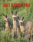 Bat Eared Fox: Learn About Bat Eared Fox and Enjoy Colorful Pictures By Diane Jackson Cover Image