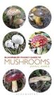 Pocket Guide to Mushrooms (Pocket Guides) By John C. Harris, Jane Lawes (Series edited by) Cover Image