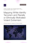 Mapping White Identity Terrorism and Racially or Ethnically Motivated Violent Extremism: A Social Network Analysis of Online Activity Cover Image