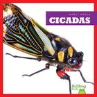 Cicadas (Insect World) By Mari C. Schuh Cover Image