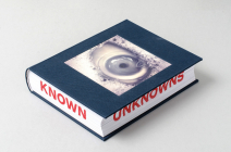 Known Unknowns By Charles Saatchi Cover Image
