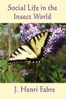 Social Life in the Insect World Cover Image