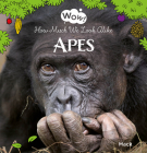 Wow! Apes. How Much We Look Alike By Mack Van Gageldonk, Mack Van Gageldonk (Illustrator) Cover Image