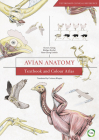 Avian Anatomy: Textbook and Colour Atlas (Second Edition) By Horst E. Koenig (Editor), Ruediger Korbel (Editor), Hans-Georg Liebich (Editor), Corinna Klupiec (Translated by) Cover Image