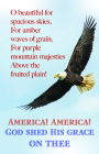 America Bulletin (Pkg 100) Patriotic By Broadman Church Supplies Staff (Contribution by) Cover Image