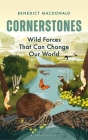 Cornerstones: Wild forces that can change our world By Benedict Macdonald Cover Image