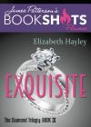 Exquisite: The Diamond Trilogy, Book III (BookShots Flames #3) Cover Image