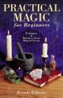 Practical Magic for Beginners: Techniques & Rituals to Focus Magical Energy (For Beginners (Llewellyn's)) By Brandy Williams Cover Image