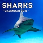 Sharks Calendar 2021: Cute Gift Idea For Sharks Lovers Men And Women By Courageous Jelly Press Cover Image