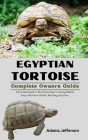 Egyptian Tortoise By Adams Jefferson Cover Image