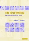 The First Writing: Script Invention as History and Process By Stephen D. Houston (Editor) Cover Image