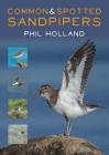 Common & Spotted Sandpipers Cover Image