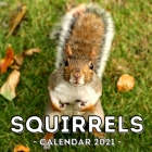 Squirrels Calendar 2021: 16-Month Calendar, Cute Gift Idea For Squirrels Lovers Women & Men Cover Image
