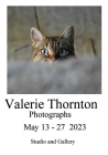Valerie Thornton Exhibition Cover Image