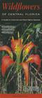 Wildflowers of Central Florida: A Guide to Common & Rare Native Species By Roger L. Hammer Cover Image
