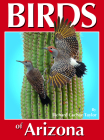 Birds of Arizona By Richard C. Taylor Cover Image