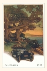 The Vintage Journal Two Couples in Model T on California Coastline By Found Image Press (Producer) Cover Image