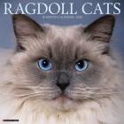 Ragdoll Cats 2025 12 X 12 Wall Calendar Cover Image