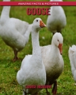 Goose: Amazing Facts & Pictures Cover Image