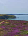 Notebook: Cornwall England coast Cornish English United Kingdom Cover Image