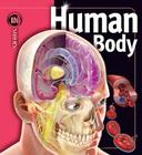Human Body (Insiders) By Linda Calabresi Cover Image