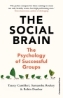 The Social Brain: The Psychology of Successful Groups Cover Image