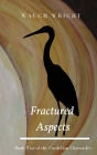 Fractured Aspects By Waugh Wright Cover Image