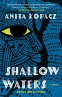 Shallow Waters: A Novel By Anita Kopacz Cover Image