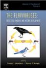 The Flaviviruses: Detection, Diagnosis and Vaccine Development: Volume 61 (Advances in Virus Research #61) Cover Image