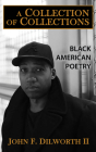 A Collection of Collections: Black American Poetry By John F. Dilworth II Cover Image
